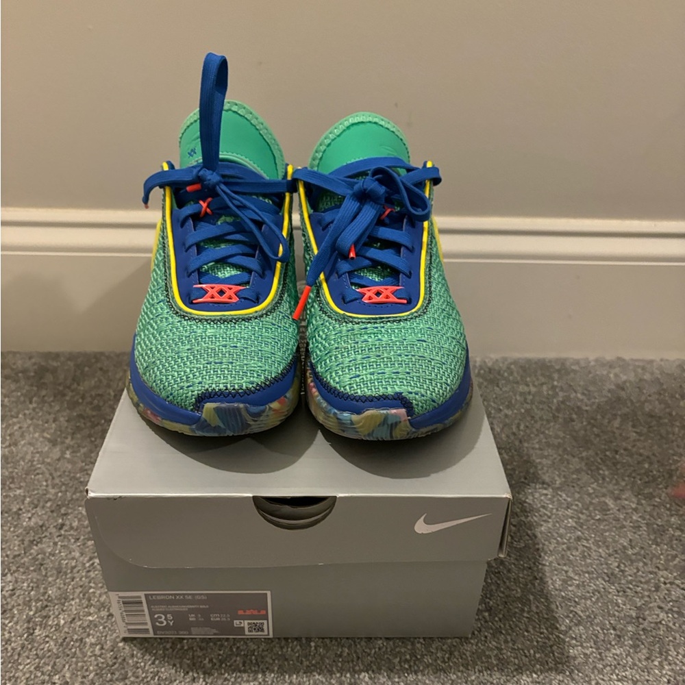 ❌SOLD❌ Lebron XX SE - Kids Size 3.5